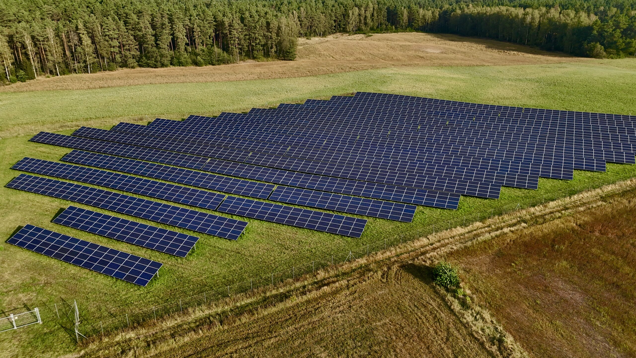 budowa farm fotowltaicznych - 2